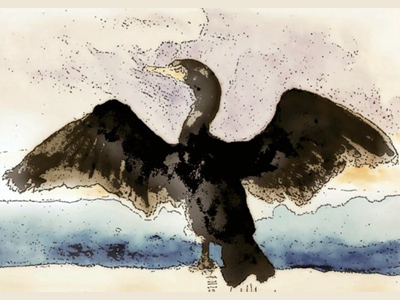 Cormorant, painting by Luke Wallin