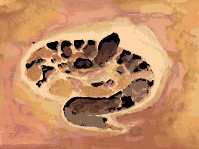 Snake, painting by Luke Wallin