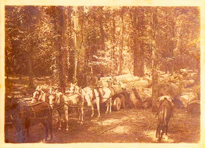 Early logging days.