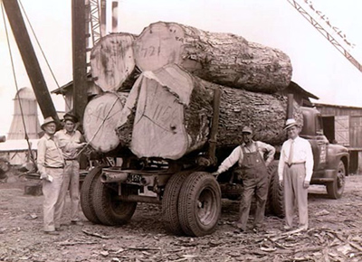 That's my dad, Luther Wallin, Jr., known as 'Mr. Luke,' on the right. This photo of a single white oak tree cut into four logs appeared in the local paper about 1950.